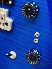 Paul Reed Smith [PRS] 35th Anniversary SE Custom 24-Faded Blue Burst- 2020年製 【Coil Tap !】【3.52kg】_10