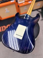 Tokai AST-GP ASH C/DLPB Light Weathering【厳選アッシュ材】【オールラッカー】 【シリーズブースト】_9