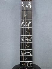 Ibanez Premium Steve Vai JEM7VP -WH White- _5