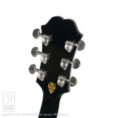 Epiphone Limited Edition Shinichi Ubukata ES-355 EB_8