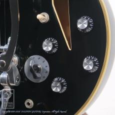 Epiphone Limited Edition Shinichi Ubukata ES-355 EB_12