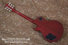 Tokai 1981 LS100 "Birdseye Maple Top"_2