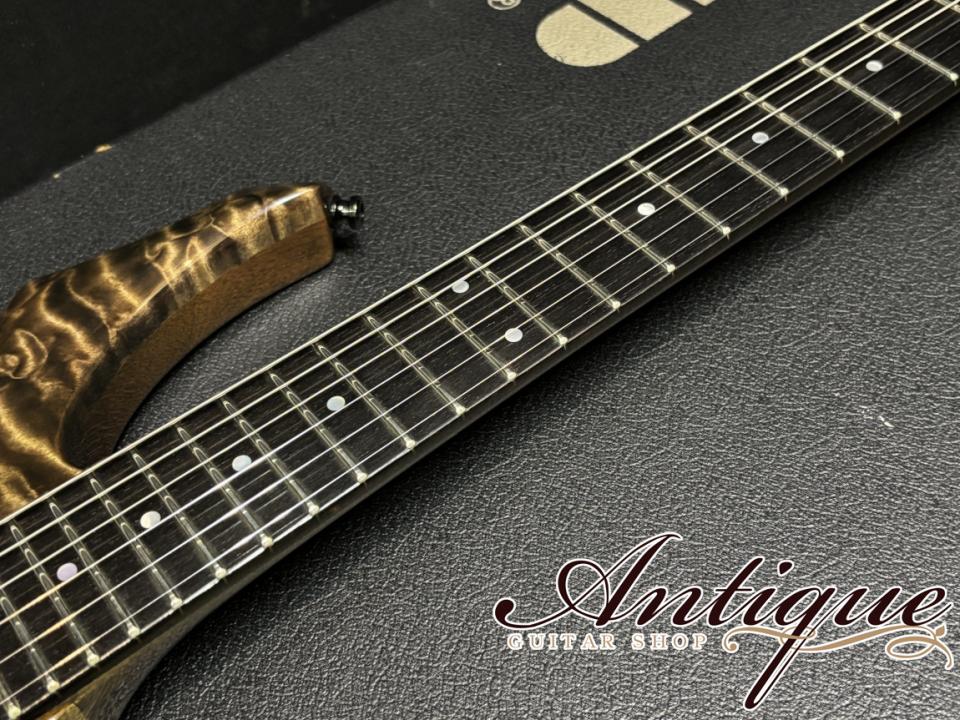 ESP [001]-560P PIERROT Aiji Model 1999 See Through Black Purple