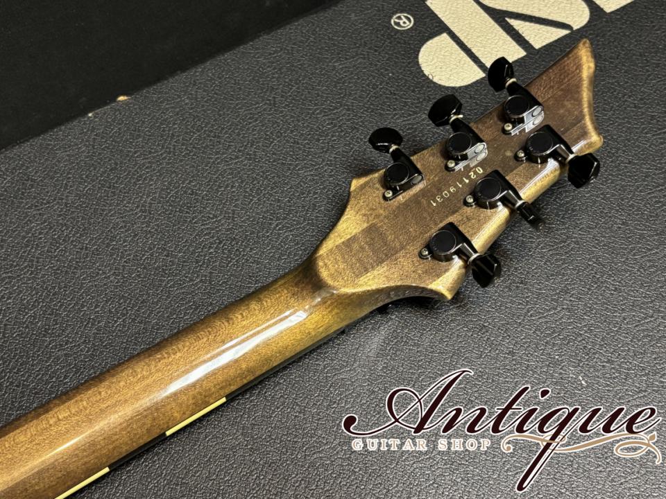 ESP [001]-560P PIERROT Aiji Model 1999 See Through Black Purple