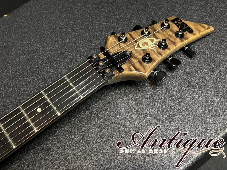 ESP [001]-560P PIERROT Aiji Model 1999 See Through Black Purple