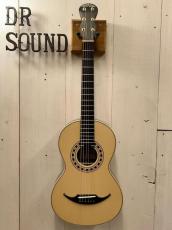 AVALON GUITARS P4-325 《Adirondack Spruce × Madagascar Rosewood》#2504【無金利分割OK】_2