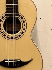 AVALON GUITARS P4-325 《Adirondack Spruce × Madagascar Rosewood》#2504【無金利分割OK】_3