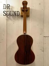 AVALON GUITARS P4-325 《Adirondack Spruce × Madagascar Rosewood》#2504【無金利分割OK】_8
