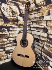 Paco Castillo パコ・カスティージョ 203S 松・ローズウッド【日本総本店2F在庫品】
