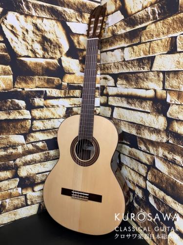 Paco Castillo パコ・カスティージョ 203S 松・ローズウッド【日本総本店2F在庫品】