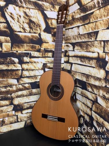 Paco Castillo パコ・カスティージョ 203C 7/8 杉・ローズウッド【日本総本店2F在庫品】