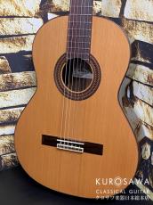 Paco Castillo パコ・カスティージョ 203C 7/8 杉・ローズウッド【日本総本店2F在庫品】_2