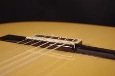 ARANJUEZ [アランフェス] No.715_6