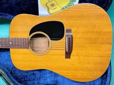 Martin D-18_2