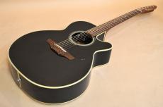 Takamine TDP515-6 BL　2005年製_2