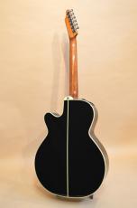 Takamine TDP515-6 BL　2005年製_8