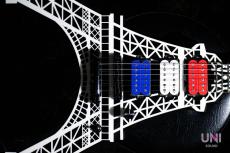 ESP Eiffel Guitar (L'Arc〜en〜Ciel tetsuya Model)_4