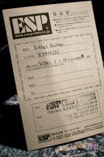 ESP Eiffel Guitar (L'Arc〜en〜Ciel tetsuya Model)_10