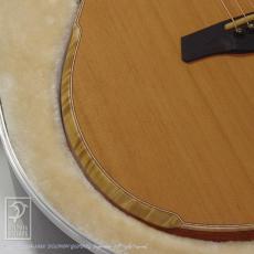 Maestro Guitars Victoria MH CSB C_13