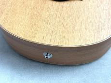 Taylor 【お求めやすくなって再入荷】GS Mini-e Mahogany【取り回し抜群のエレアコ!】_12