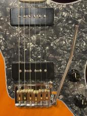 Honky Tonk Guitars "DINO" Custom 3TSB_9