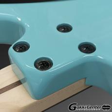 Greco WS Advanced Series WS-ADV-G, Sky Blue_5