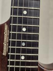 Washburn N4 Padauk " Made In Japan " 「お買い得中古品」_8