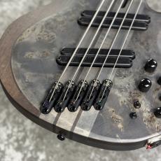 Ibanez BTB805MS -Transparent Gray Flat-_3