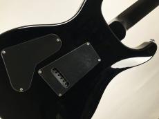 Paul Reed Smith [PRS] SE Custom 24 -Whale Blue-【2017年製】【USED】_11