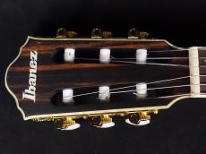Ibanez TOD10N TKF_5