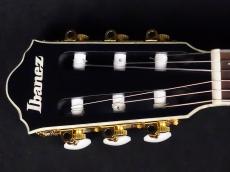 Ibanez TOD20FMN-BFL_5