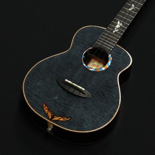 aNueNue KYAS Signature Model aNN-BWhale E Black Whale ピックアップ搭載モデル