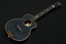aNueNue KYAS Signature Model aNN-BWhale E Black Whale ピックアップ搭載モデル_2