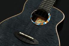 aNueNue KYAS Signature Model aNN-BWhale E Black Whale ピックアップ搭載モデル_3