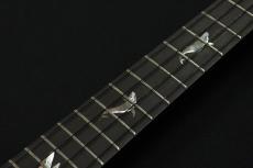 aNueNue KYAS Signature Model aNN-BWhale E Black Whale ピックアップ搭載モデル_6