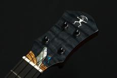 aNueNue KYAS Signature Model aNN-BWhale E Black Whale ピックアップ搭載モデル_7
