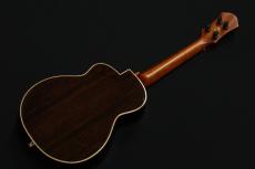 aNueNue KYAS Signature Model aNN-BWhale E Black Whale ピックアップ搭載モデル_8