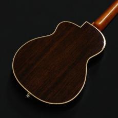 aNueNue KYAS Signature Model aNN-BWhale E Black Whale ピックアップ搭載モデル_10