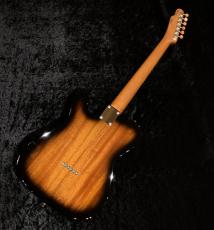 FREEDOM CUSTOM GUITAR RESEARCH TE Pepper HollowⅡ(Brown Pepper) Flamed Mahogany Top / Black Burst (BBS)_8