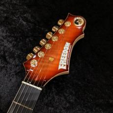 FREEDOM CUSTOM GUITAR RESEARCH Hydra 24F Selected Figured Maple Top / ライチ(RIC)_4