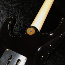 FREEDOM CUSTOM GUITAR RESEARCH Hydra 24F Selected Figured Maple Top / ライチ(RIC)_7