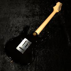 FREEDOM CUSTOM GUITAR RESEARCH Hydra 24F Selected Figured Maple Top / ライチ(RIC)_8