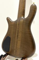 Warwick Custom Shop Master Built Streamer Stage I 5st / Antique Tobacco Transparent Satin_5