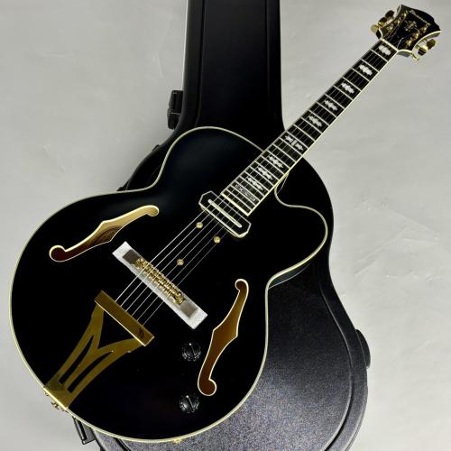 Ibanez PM3C パット・メセニーシグネチャー・モデル【現物写真】