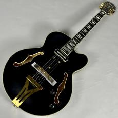 Ibanez PM3C パット・メセニーシグネチャー・モデル【現物写真】_2