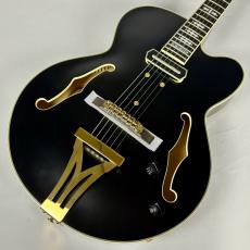 Ibanez PM3C パット・メセニーシグネチャー・モデル【現物写真】_3