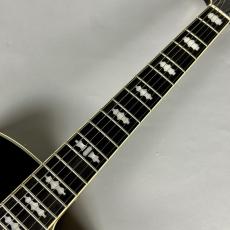Ibanez PM3C パット・メセニーシグネチャー・モデル【現物写真】_4