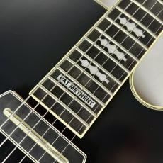 Ibanez PM3C パット・メセニーシグネチャー・モデル【現物写真】_5