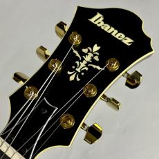 Ibanez PM3C パット・メセニーシグネチャー・モデル【現物写真】_6