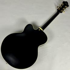 Ibanez PM3C パット・メセニーシグネチャー・モデル【現物写真】_7